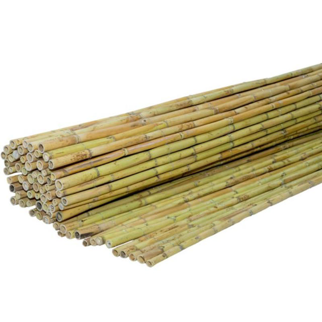 SHOWOOD REED FENCE 20-25MM 2X3M