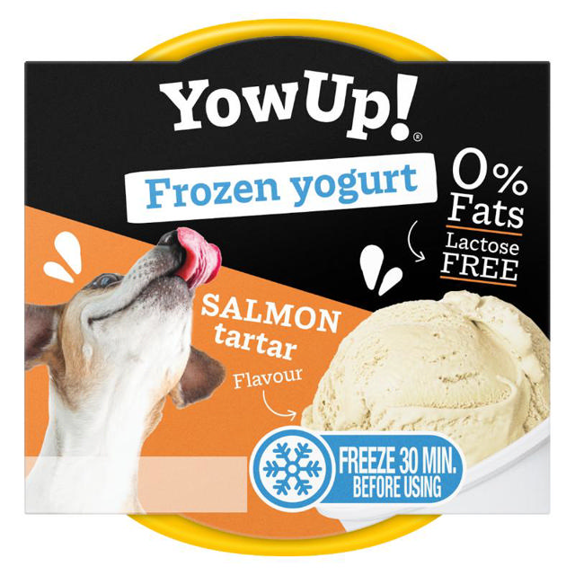 YOWUP YOGURT ICE CREAM SALMON 110GR