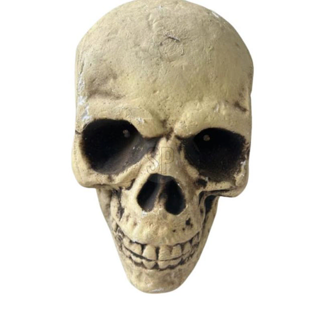 HALLOWEEN DECORATIVE SKULL