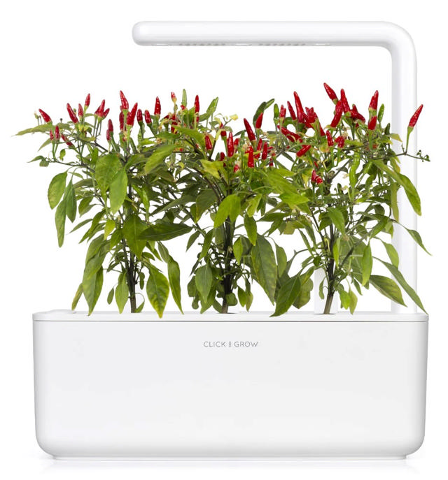 CLICK & GROW SGR67X3 PIRI PIRI CHILI PEPERS PLANT PODS 3PCS