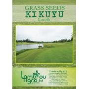 GRASS SEEDS KIKUYU 500GR
