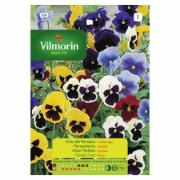 VILMORIN PANSY LARGE FLOWERED MIXED