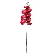 SINGLE ORCHID BRANCH 8FLR RED