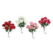 CARNATION ROOT 4 ASSORTED DESIGNS