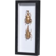 DECOFRAME GOLD INSECT 26CM