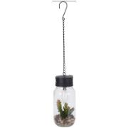 HANGING LAMP WITH PLANT 4 ASSORTED DESIGNS