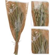 DRIED FLOWERS GR 2 ASSORTED NATURAL