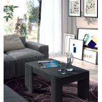 FORES 001637G COFFEE TABLE LIFT-UP GREY 43CM X 100CM X 50CM