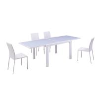 GLASS DINING TABLE 8MM 120+120X90X76CM