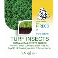 TURF INSECTS GRANULATED NON- TOXIC 5KG