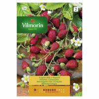 VILMORIN STRAWBERRY-PLANT FOUR SEASONS