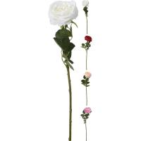 ROSE 63CM 4 ASSORTED COLORS