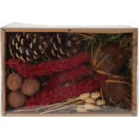 DRIED FLOWERS MIX IN BOX RED