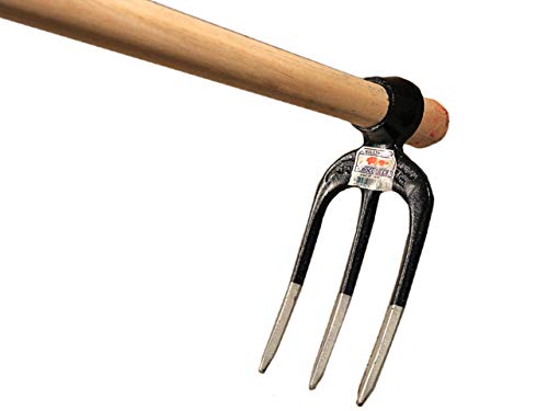 CHAMPION FORK HOE WITH WOODEN HANDLE 
