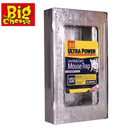 BIG CHEESE MULTI CATCH MOUSE TRAP 