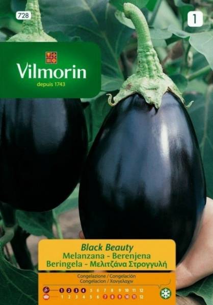 VILMORIN MELINTZANA BLACK BEAUTY