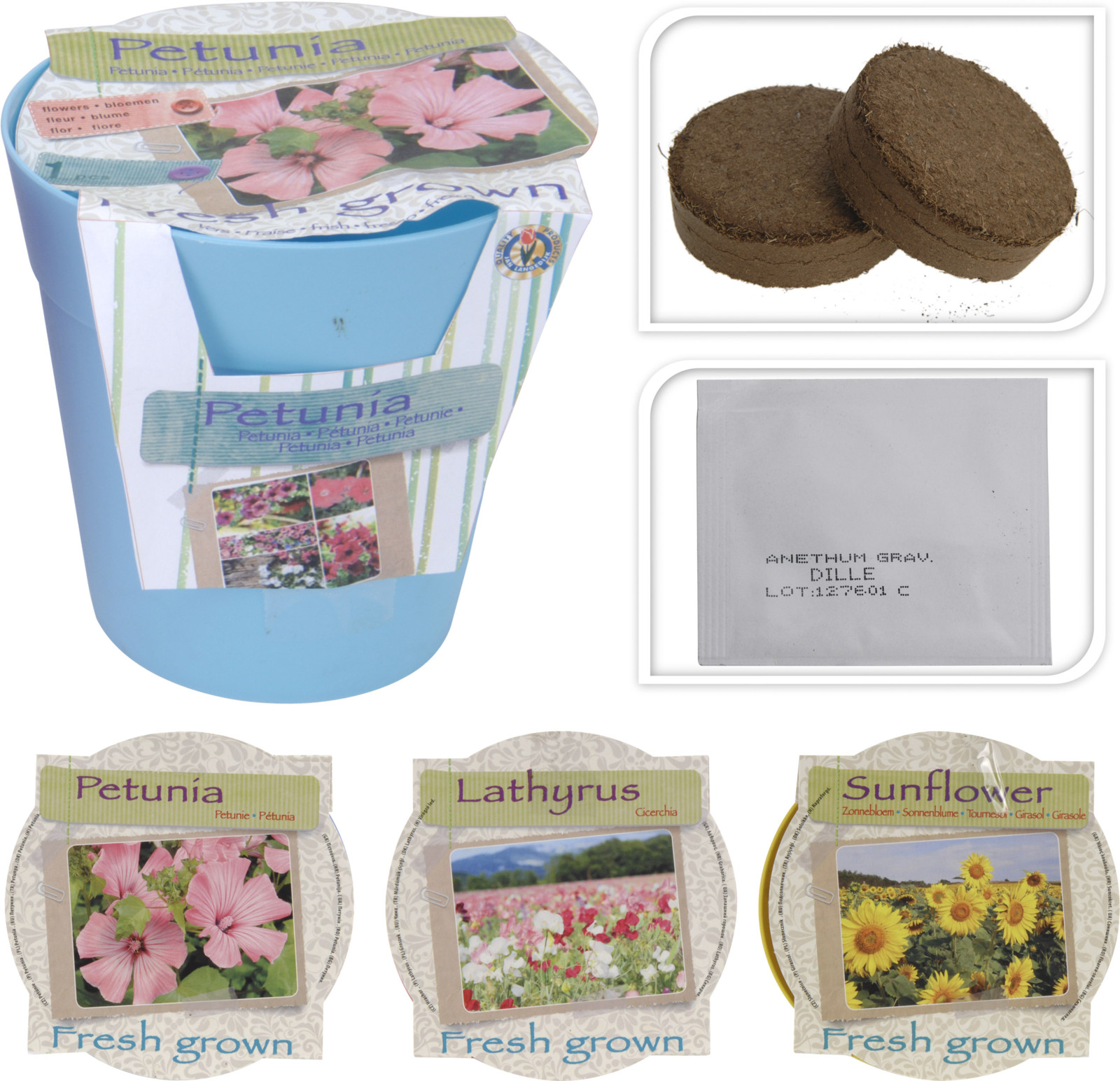 FLOWER GROWINGPOT 3 ASSORTED COLORS