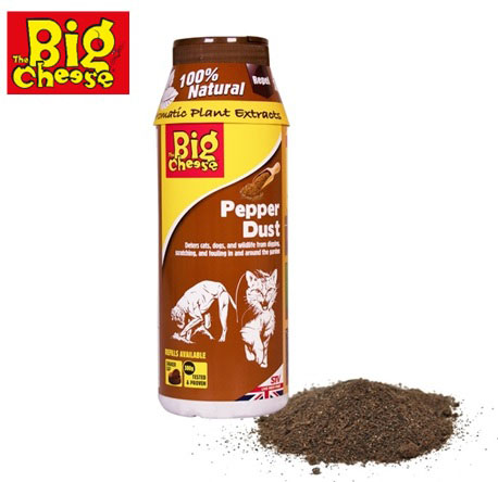 BIG CHEESE CAT & DOG PAPER DUST 300GR