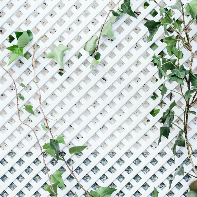 FIXED PLASTIC TRELLIS 0.8M X 1.8M X 18MM WHITE WITHOUT FRAME