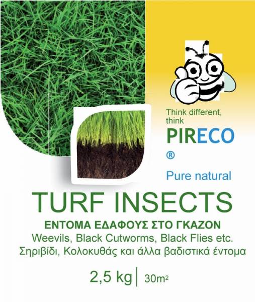 TURF INSECTS GRANULATED NON-TOXIC 2.5KG