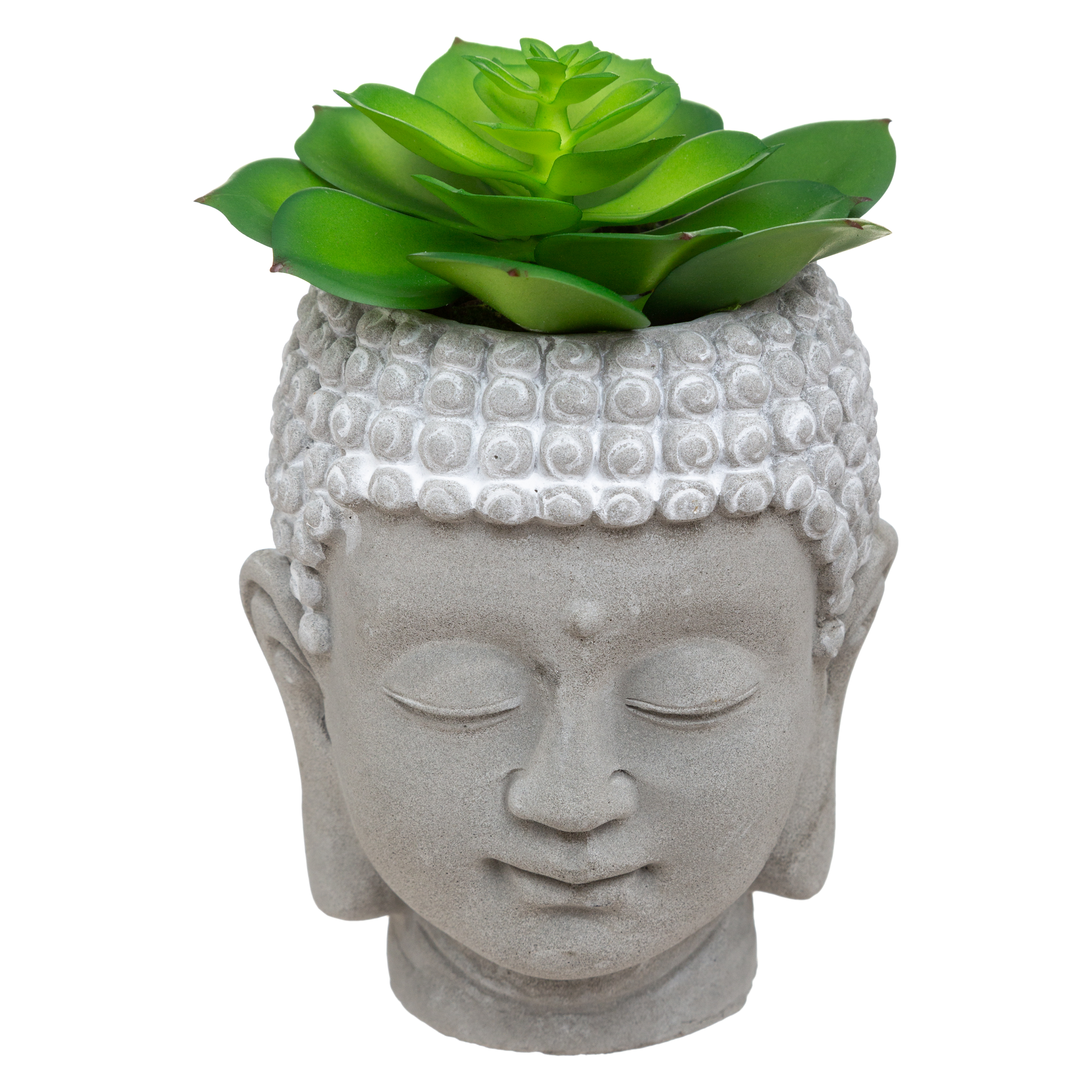 BUDDHA HEAD WITH PLANT