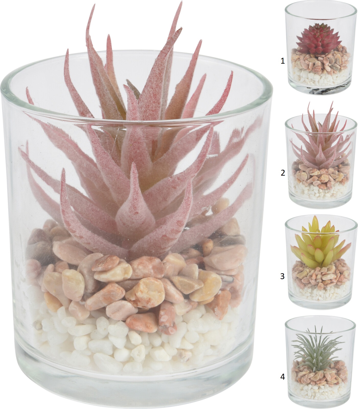 PLANT IN GLASS POT 10CM 5 ASSORTED DESIGNS