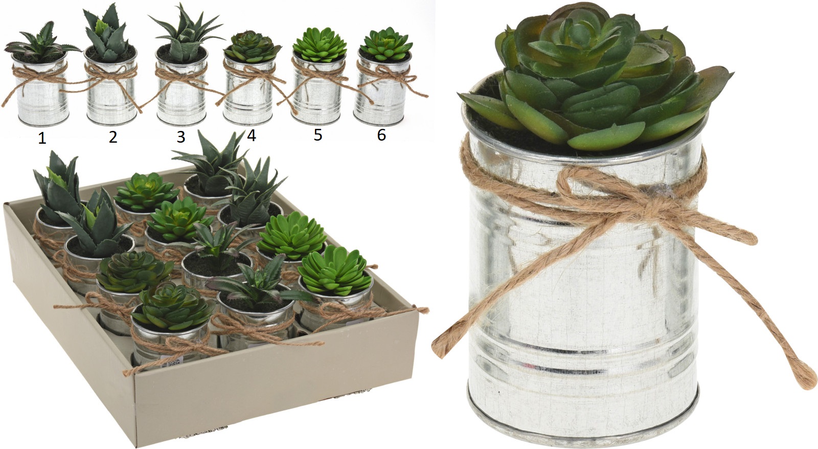 PLANT IN ZINC POT WITH ROPE
